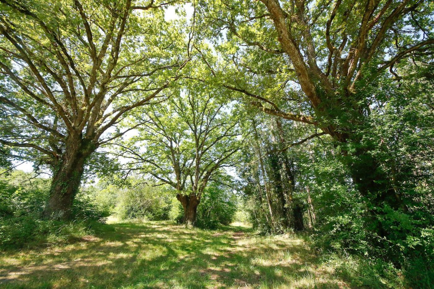 Domaine La Faix, Gite La Chouette Saint-Plaisir Exterior photo
